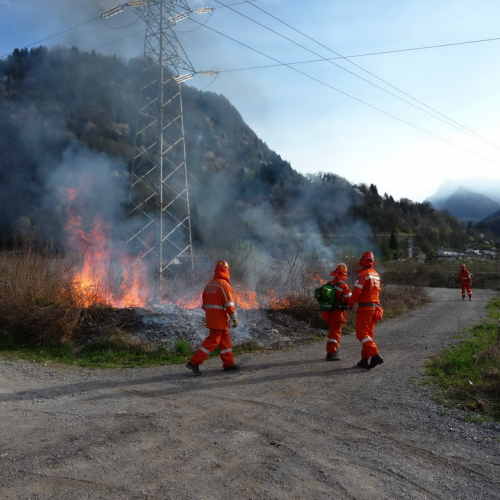 Attivit‡ prevenzione del 31/03 n. 5 / 79536