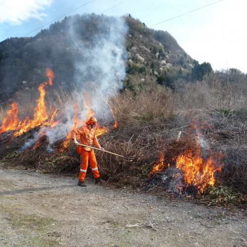 Attivit‡ prevenzione del 31/03 n. 6 / 79537