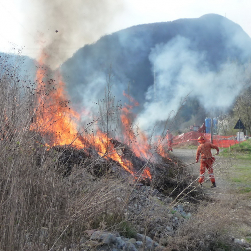 Attivit‡ prevenzione del 31/03 n. 7 / 79538