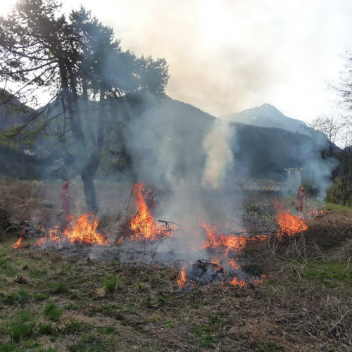 Attivit‡ prevenzione del 31/03 n. 8 / 79539