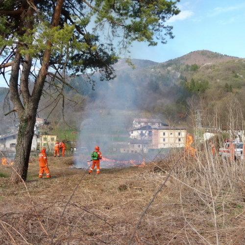 Attivit‡ prevenzione del 31/03 n. 9 / 79540