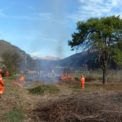 Attivit‡ prevenzione del 31/03 n. 11 / 79542