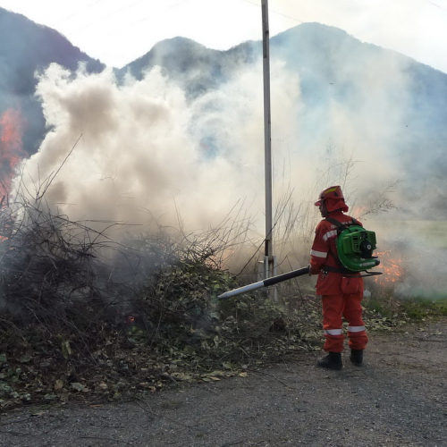 Attivit‡ prevenzione del 31/03 n. 14 / 79545