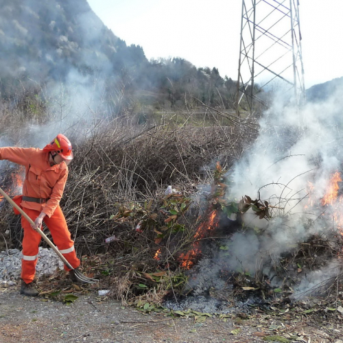 Attivit‡ prevenzione del 31/03 n. 15 / 79546