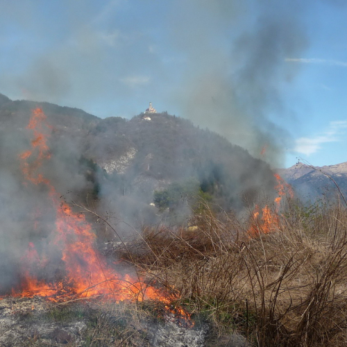 Attivit‡ prevenzione del 31/03 n. 16 / 79547