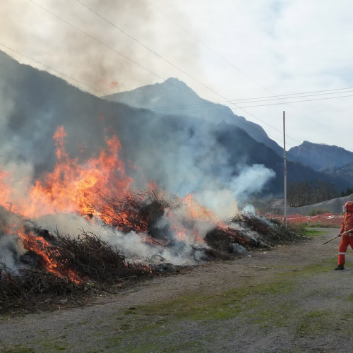 Attivit‡ prevenzione del 31/03 n. 17 / 79548