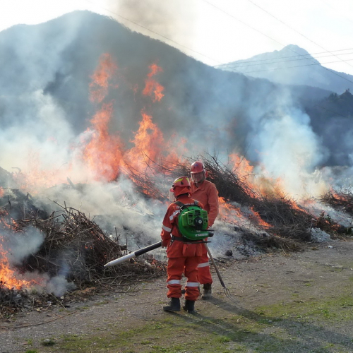Attivit‡ prevenzione del 31/03 n. 18 / 79549