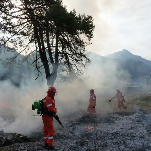 Attivit‡ prevenzione del 31/03 n. 20 / 79551