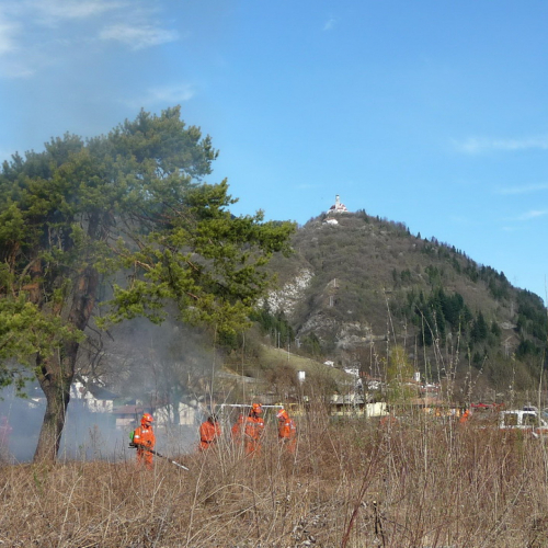 Attivit‡ prevenzione del 31/03 n. 21 / 79552