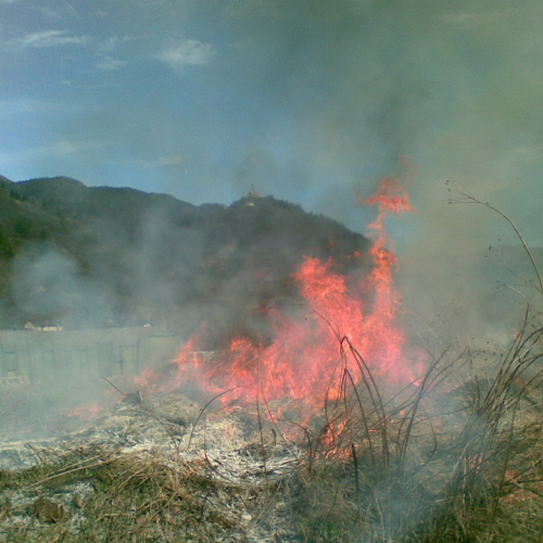 Attivit‡ prevenzione del 31/03 n. 23 / 79554