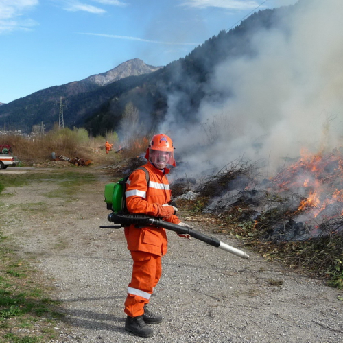 Attivit‡ prevenzione del 31/03 n. 24 / 79555