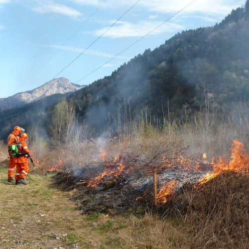 Attivit‡ prevenzione del 31/03 n. 26 / 79557
