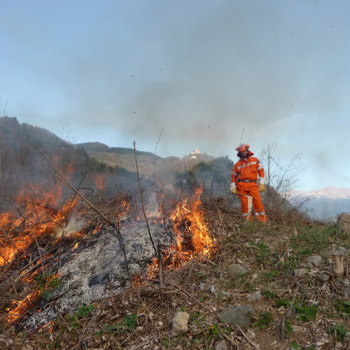 Attivit‡ prevenzione del 31/03 n. 28 / 79559