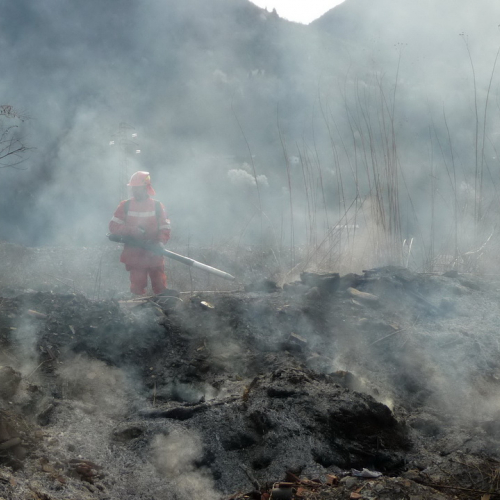 Attivit‡ prevenzione del 31/03 n.A 1 / 79640