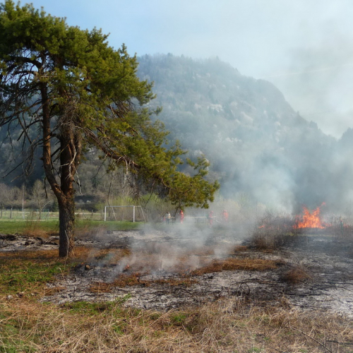 Attivit‡ prevenzione del 31/03 n.A 5 / 79644