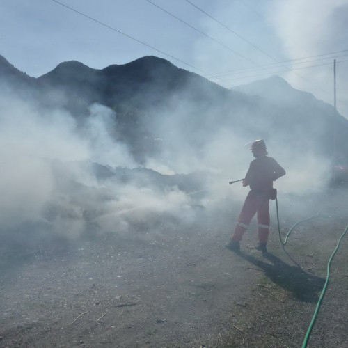 Attivit‡ prevenzione del 31/03 n.A 7 / 79646