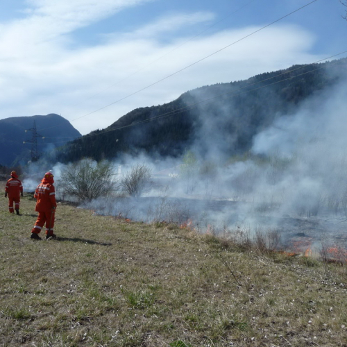 Attivit‡ prevenzione del 31/03 n.A 15 / 79654