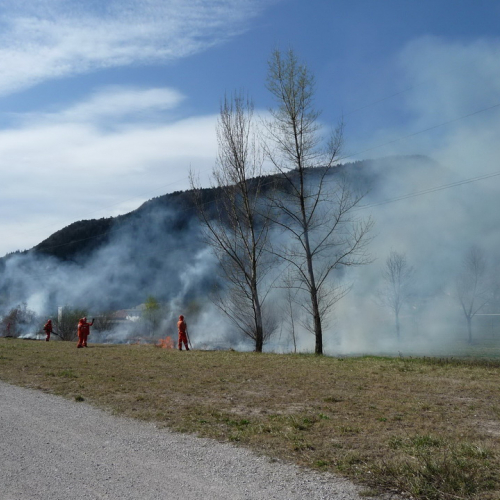 Attivit‡ prevenzione del 31/03 n.A 17 / 79656