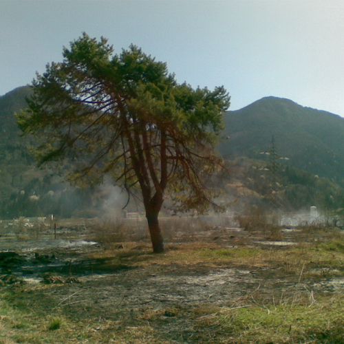 Attivit‡ prevenzione del 31/03 n.A 18 / 79657