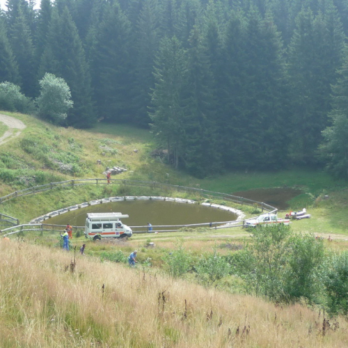 Intervento a Malga Dauda n. 2 / 84670