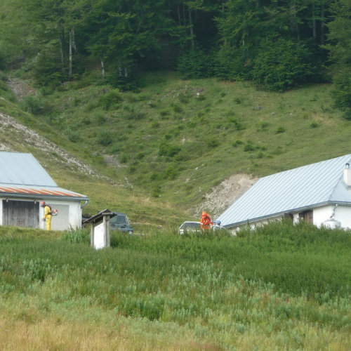 Intervento a Malga Dauda n. 3 / 84671