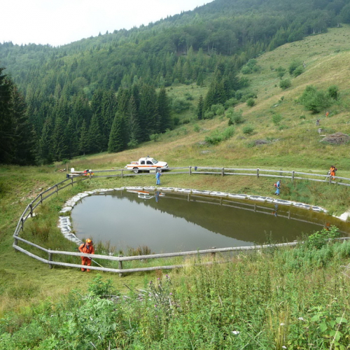 Intervento a Malga Dauda n. 4 / 84672