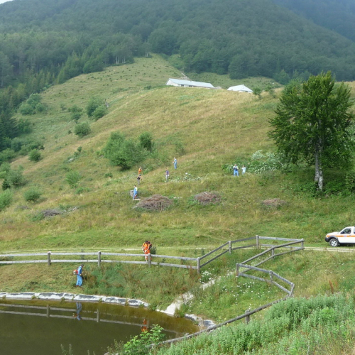 Intervento a Malga Dauda n. 5 / 84673