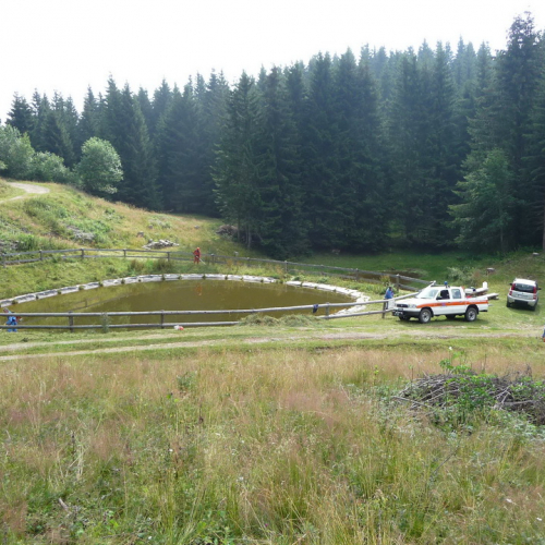 Intervento a Malga Dauda n. 7 / 84675