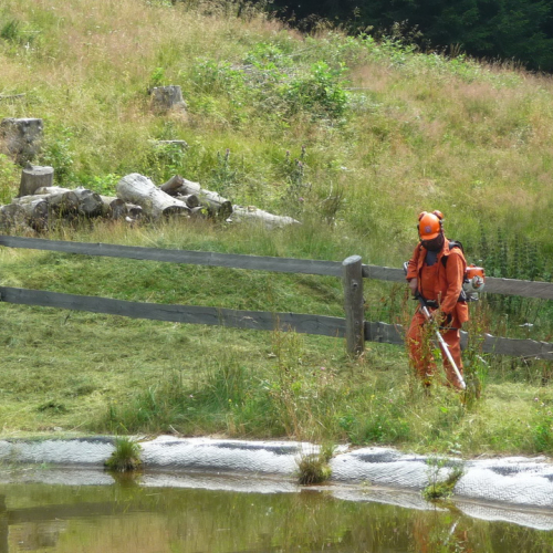 Intervento a Malga Dauda n. 8 / 84676