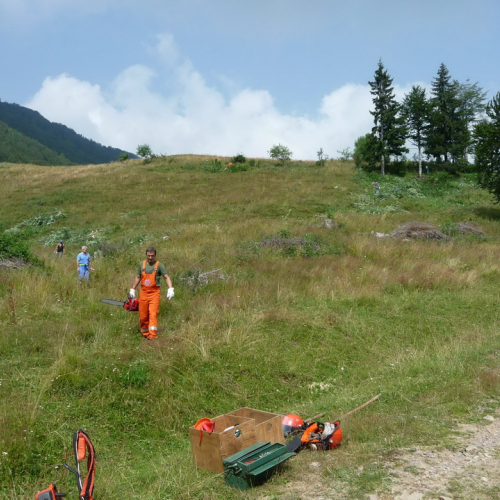 Intervento a Malga Dauda n. 9 / 84677