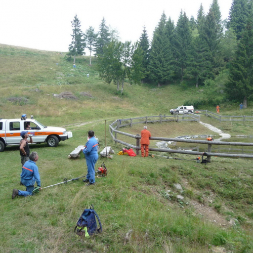 Intervento a Malga Dauda n. 10 / 84678