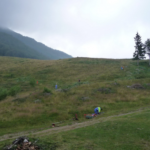 Intervento a Malga Dauda n. 12 / 84680