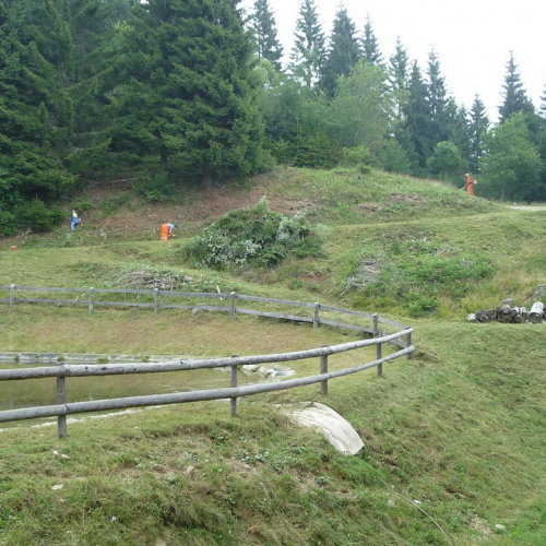 Intervento a Malga Dauda n. 13 / 84681