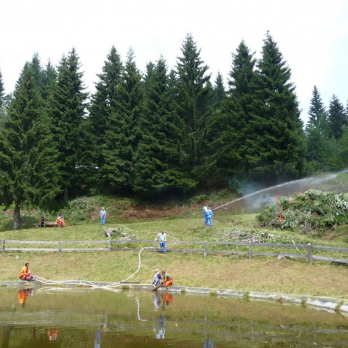 Intervento a Malga Dauda n. 14 / 84682