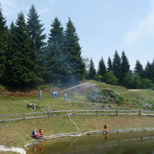 Intervento a Malga Dauda n. 15 / 84683