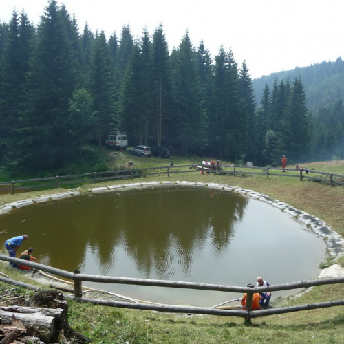 Intervento a Malga Dauda n. 17 / 84685