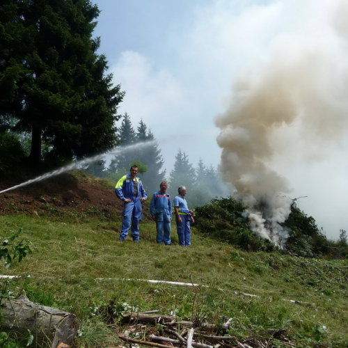 Intervento a Malga Dauda n. 18 / 84686