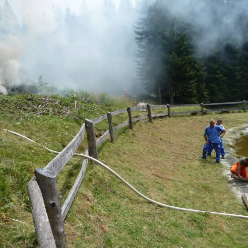 Intervento a Malga Dauda n. 19 / 84687