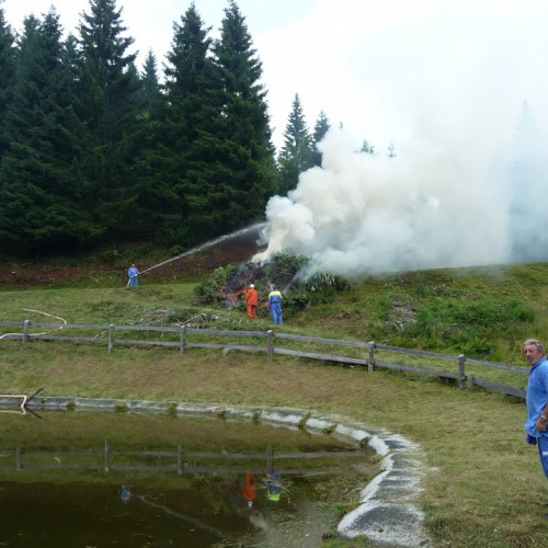 Intervento a Malga Dauda n. 21 / 84689