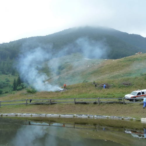 Intervento a Malga Dauda n. 22 / 84690