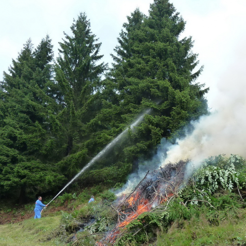 Intervento a Malga Dauda n. 23 / 84691