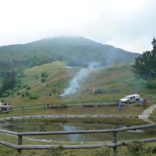 Intervento a Malga Dauda n. 24 / 84692