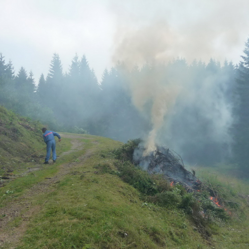 Intervento a Malga Dauda n. 25 / 84693