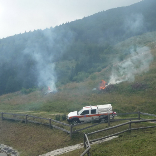 Intervento a Malga Dauda n. 26 / 84694