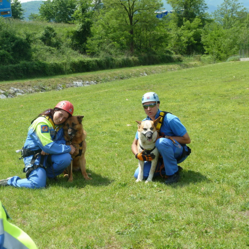 Corso elicooperazione per unit‡ cinofile del 26/05/12 n. 9 / 81880