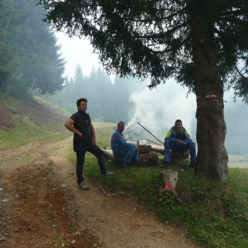 Intervento a Malga Dauda n. 28 / 84696