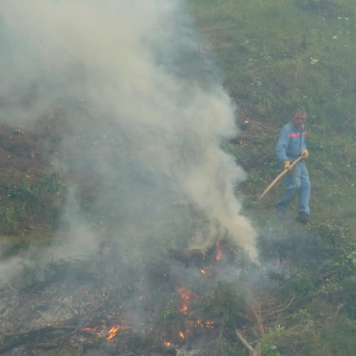 Intervento a Malga Dauda n. 30 / 84698