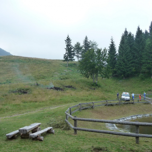 Intervento a Malga Dauda n. 31 / 84699