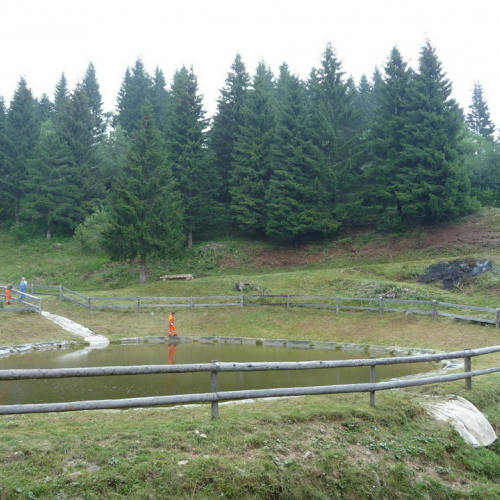 Intervento a Malga Dauda n. 32 / 84700