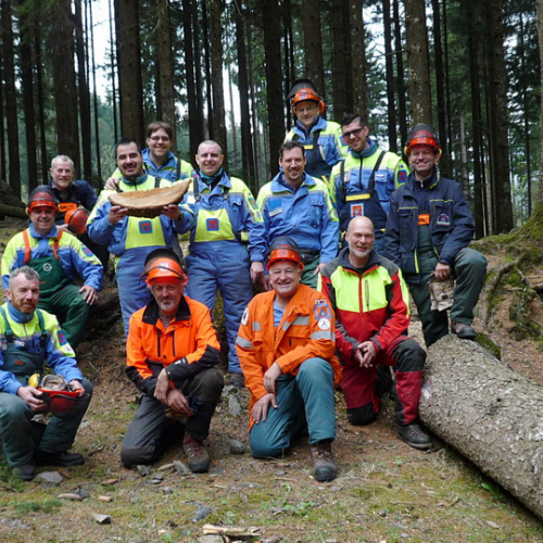 1™ Sessione Corso Motosega 2014 n. 2 / 107722
